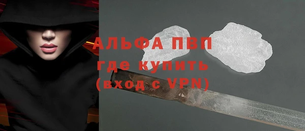 стафф Вяземский