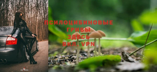 молекула духа Володарск